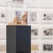 Dortmunder Architekurtage2018_023